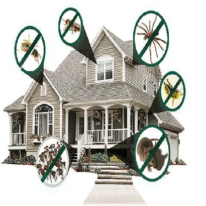 residential pest control residential pest control